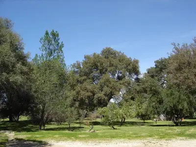 San Diego Freedom Ranch listing photo