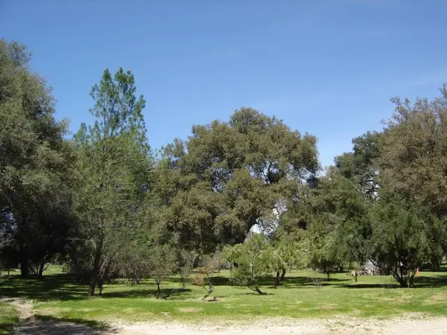 San Diego Freedom Ranch — photo 1