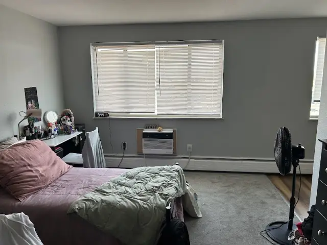 Ananeo Colorado LLC — photo 1
