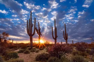 Saguaro Recovery - Sober Living listing photo