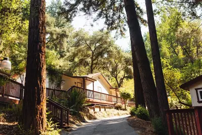 The Camp Recovery Center listing photo