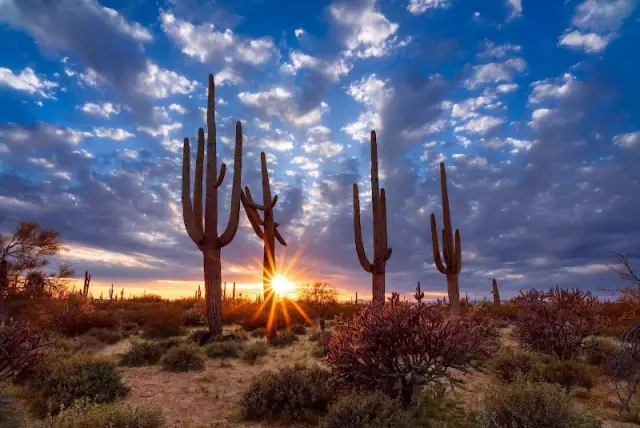 Saguaro Recovery - Sober Living — photo 1