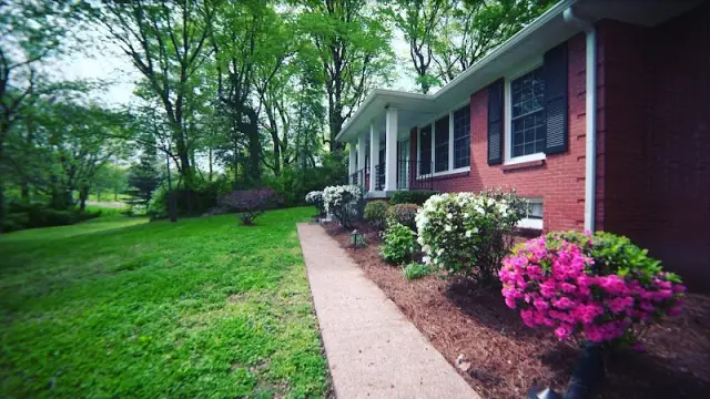 Brentwood Springs Detox — photo 1