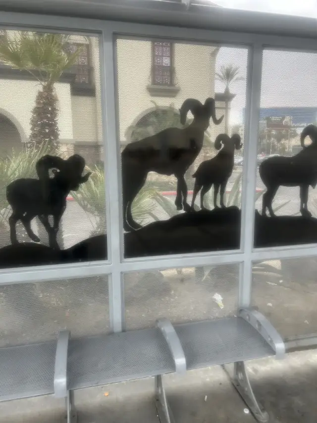 Freedom House Sober Living Las Vegas — photo 1
